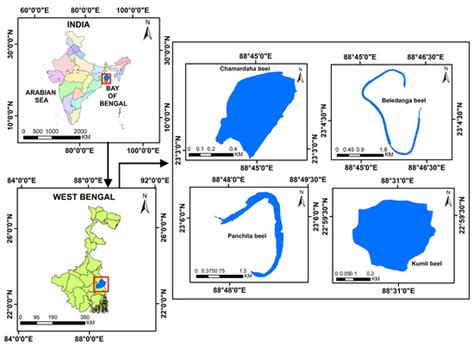 A Conceptual Framework for Sustainable Governance of Self-Recruiting ...