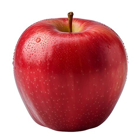Image result for Apple Basic Programming Example