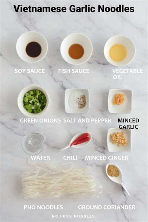 Vietnamese Garlic Noodles | No Fuss Noodles