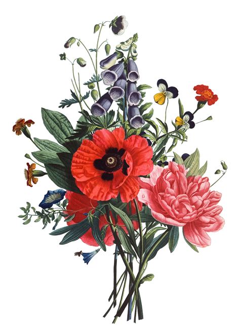 flower drawing vintage