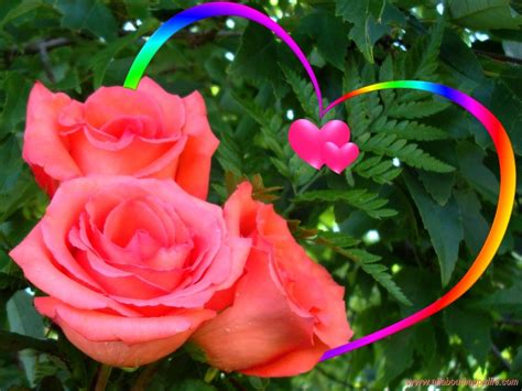 Flower Love Wallpapers - Wallpaper Cave