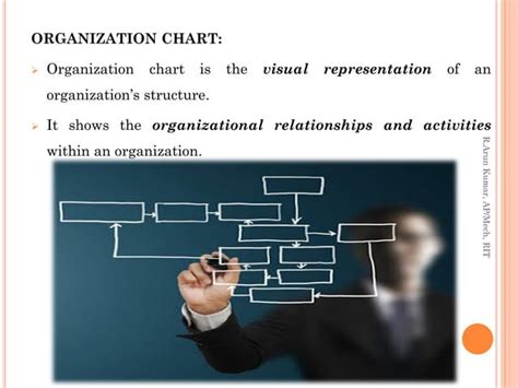 Organization 的图像结果