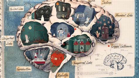 Behavior Science Desktop Background 的图像结果