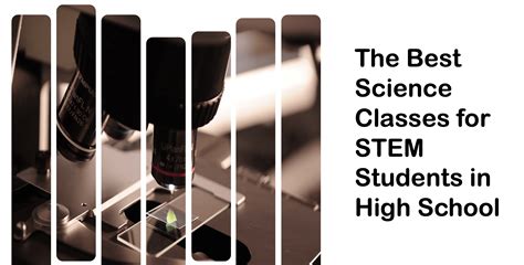 The Best Science Classes for STEM Students in High School | HelloCollege