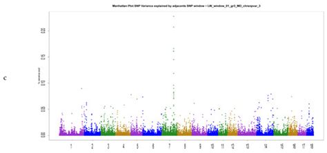 Weighted Single-Step Genomic Best Linear Unbiased Prediction Method ...