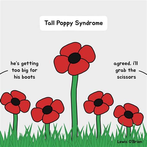 Tall Poppy Syndrome