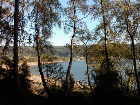 Image result for QR Code Scanner Module Vm2290