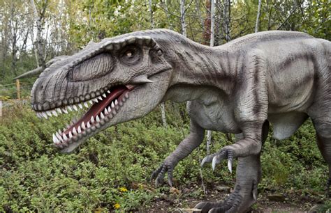 Image result for Dinosaur Using Computer Picture