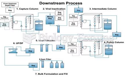Image result for Upstream Process Definition