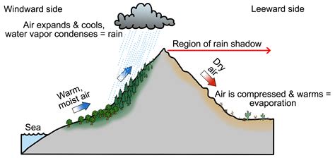 Leeward Side Of Mountain