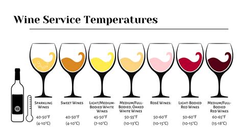 Wine Serving Temperature Guide