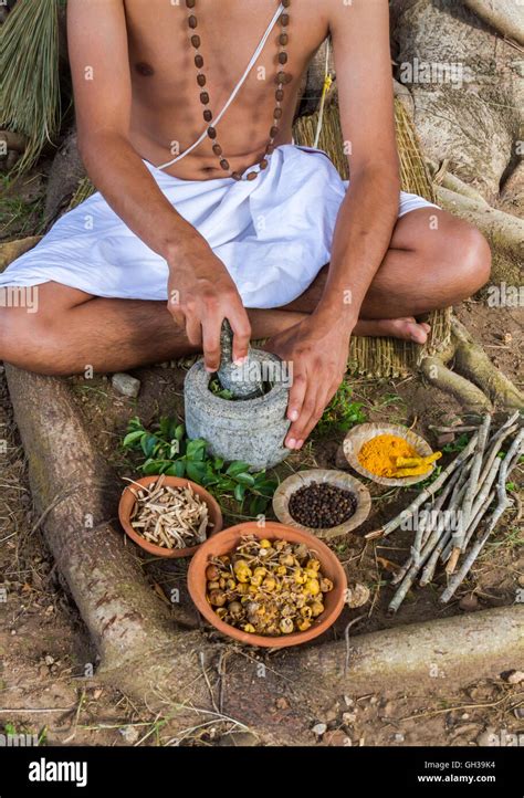 Ayurvedic Herbal Medicine 的图像结果