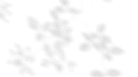 Kava Stress Relief | Yogi Tea