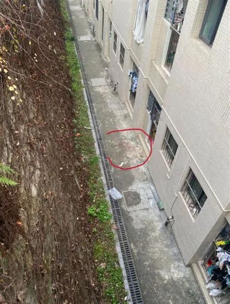 “大一女生校内坠亡”，警方通报-桂林生活网新闻中心