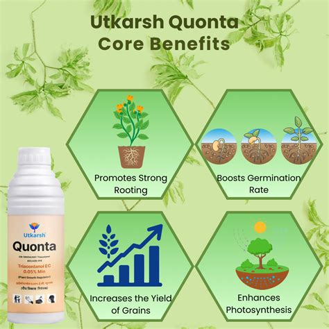 Quonta (Triacontanol 0.05% EC) | Plant Growth Regulator