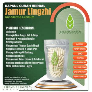 Jual JAMUR LINGZHI Kapsul Herbal 600mg Tumor Kanker Stroke Anti Aging ...