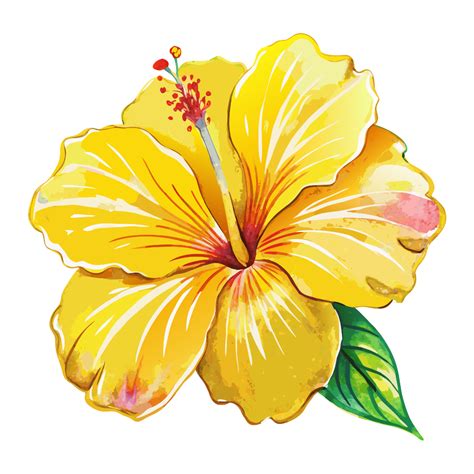 Hawaiian flower Clipart - Free Png, Svg, Vector Images | Neoclipart in ...
