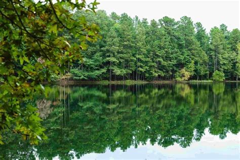 20 BEST Hikes Near Charlotte - Lost In The Carolinas