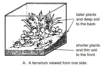 Horticulture :: Landscaping :: Terrarium