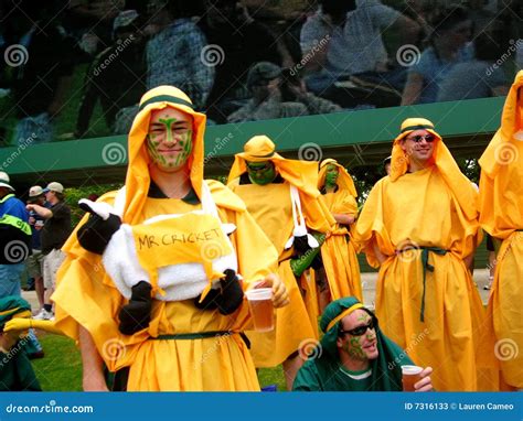 Image result for Fun Code Cricket