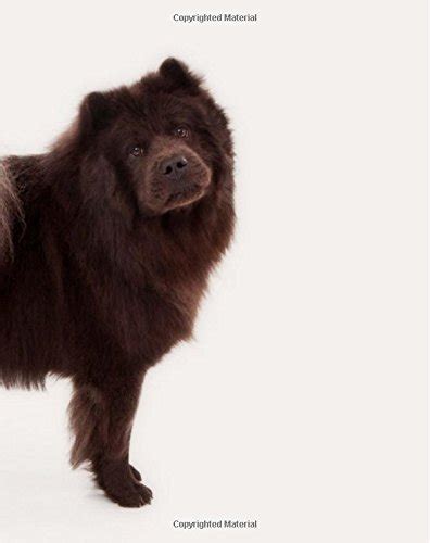 Buy Chow Chow: Artified Pets Dog Journal/Notebook/Diary With Wraparound ...