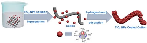 Study on the Photocatalytic and Antibacterial Properties of TiO2 ...