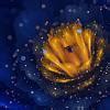 (b) Among iron filling and X which one react with the carbon disulphide ...