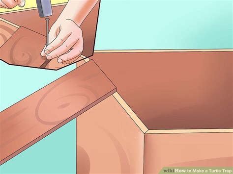 Image result for Building a Turtle Trap