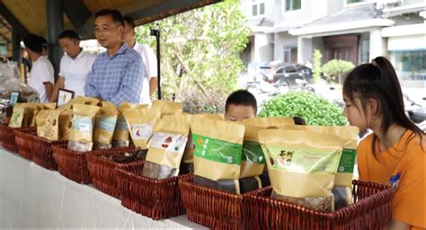 信阳市固始县：小山村办起来山货美食节 特色消费助振兴