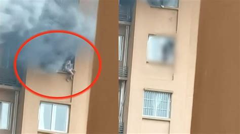 重庆一高楼突发火灾，女子站窗外避险不慎坠楼，现场群众吓到尖叫,时事,事故灾难,好看视频