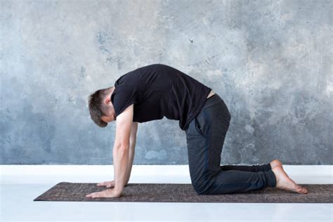 The Best Exercises for Back Pain Relief