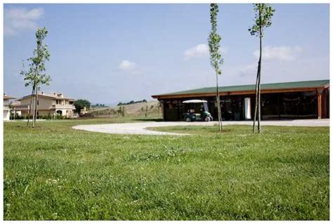 Tagliaerba, quale scegliere   Idee Green