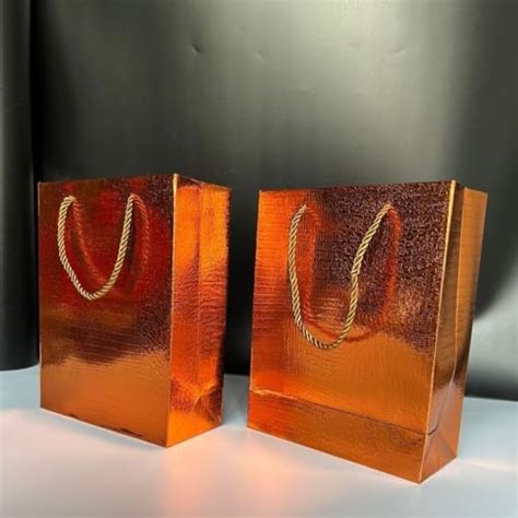 SATYAM KRAFT 6 Pcs Gift Bags Paper Bags for Return Gifts, Paper Gift ...