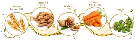 Buy Richfeel Vitamin E Oil | Blend of Almond, Wheatgerm, Walnut ...