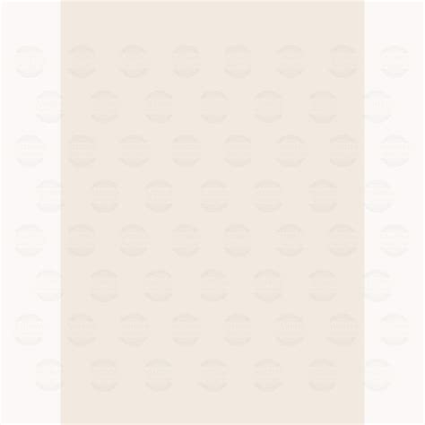 Bone - Printed Food Backdrops – Madras Prop Store