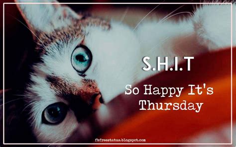 Funny Thursday Quotes to be Happy on Thursday Morning