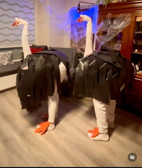 Ostrich Costume Diy