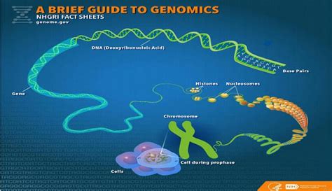 Genome India Project – Burning Issues – Free PDF Download