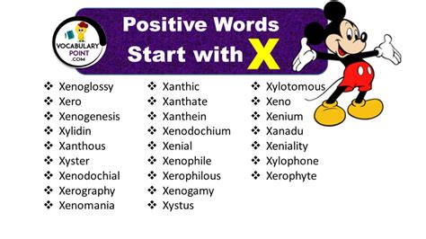 Positive Words Begin With X Archives - Vocabulary Point