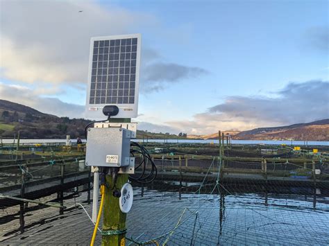 Image result for Attomatic Fish Farm Java in River