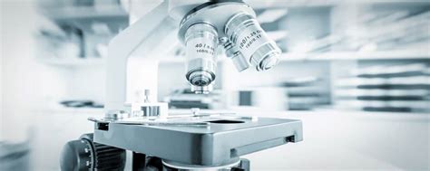 Dissecting Microscope 的图像结果