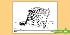 Snow Leopard Colouring Sheet | Colouring Sheets