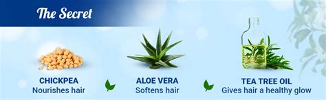 Himalaya Anti-Dandruff Conditioner, 100ml : Amazon.in: Beauty