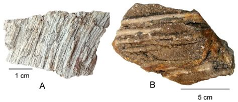 Silicification of Wood: An Overview