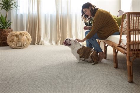 Carpet Gallery - Flooring Inspiration | Reinhold Flooring in Saint ...