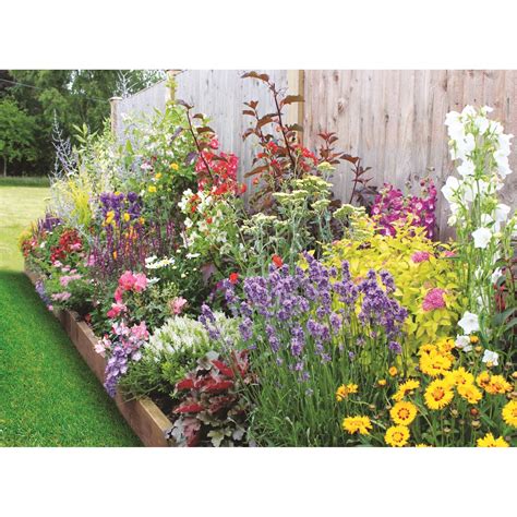 Bee and Butterfly Border Collection - 3m x 60cm | Cottage garden ...