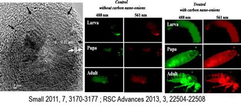 Manav Saxena Research | CNMS - JAIN (Deemed-to-be University)