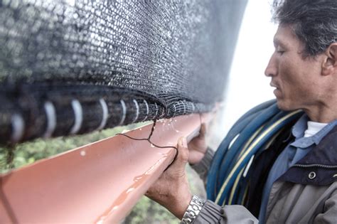 How Peru’s poorest are solving their water woes | The Caravan