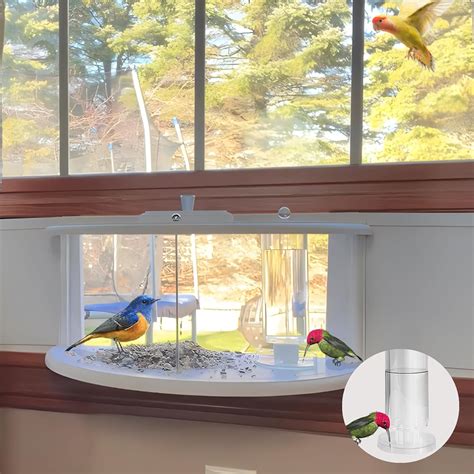 Amazon.com : Window Bird Feeder with Water Supply, 180° Clear View Bird ...