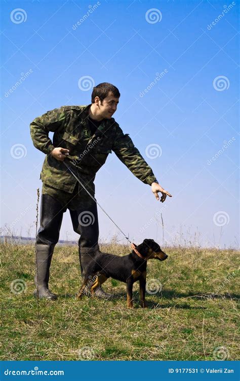 Anweisungen ein Hund stockbild. Bild von gesicht, nave - 9177531